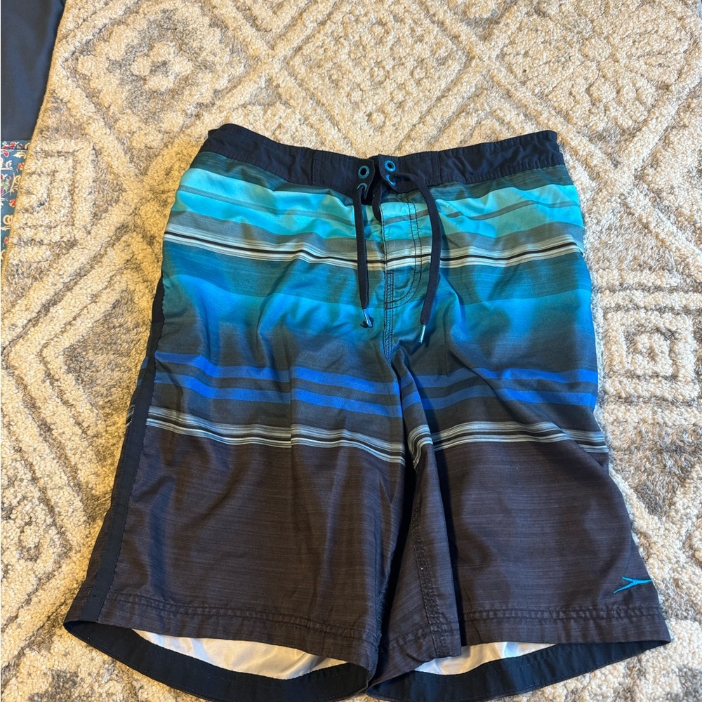 Speedo Men's Blue Swim Shorts